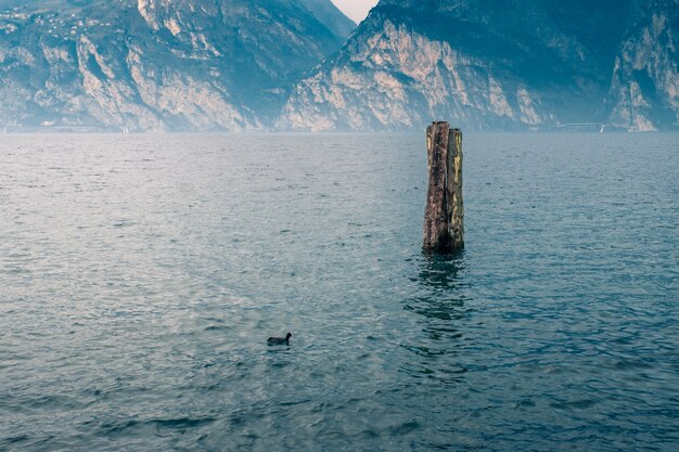 Foto la orilla del lago de garda. italia.