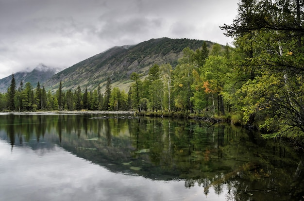 Orilla de un lago de montaña y bosque