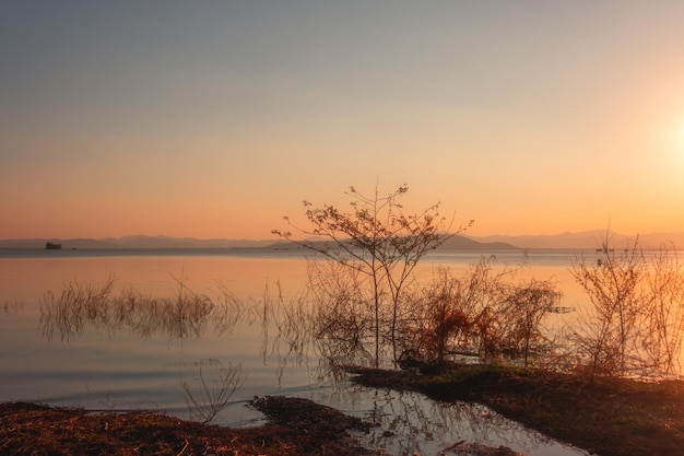 Foto en la orilla del lago en la tarde