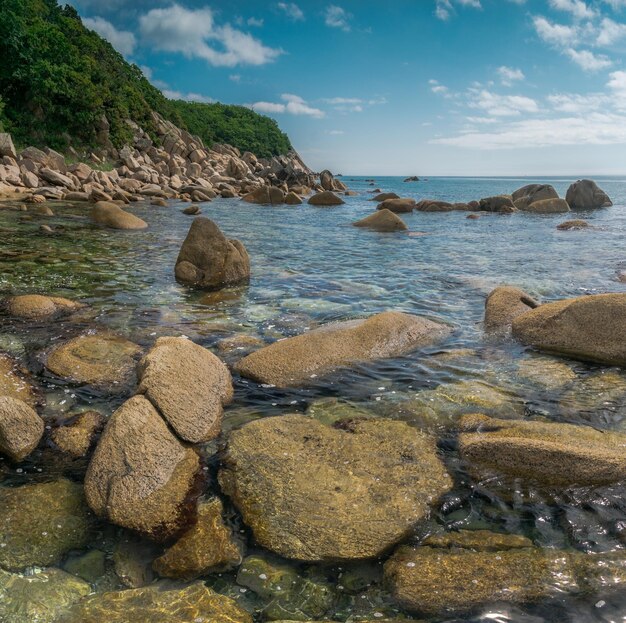 Foto orilla del mar con agua transparente y piedras en el fondo