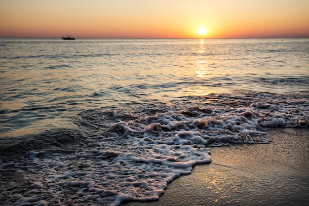 Orilla del mar al atardecer