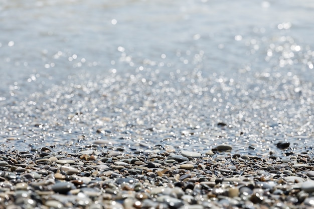 Orilla del mar de guijarros en verano. playa. Foto de alta calidad