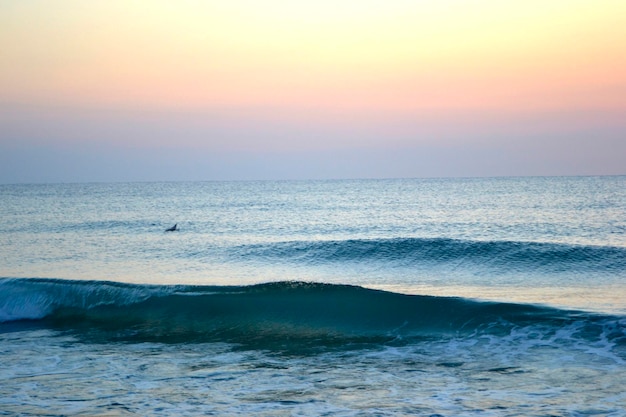 Orilla del mar con olas y puesta de sol