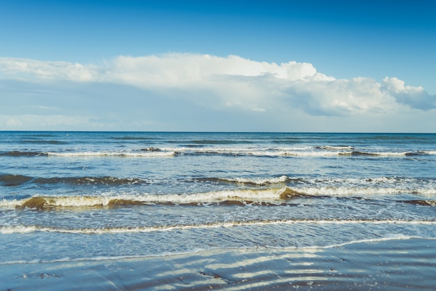 Orilla del mar con olas