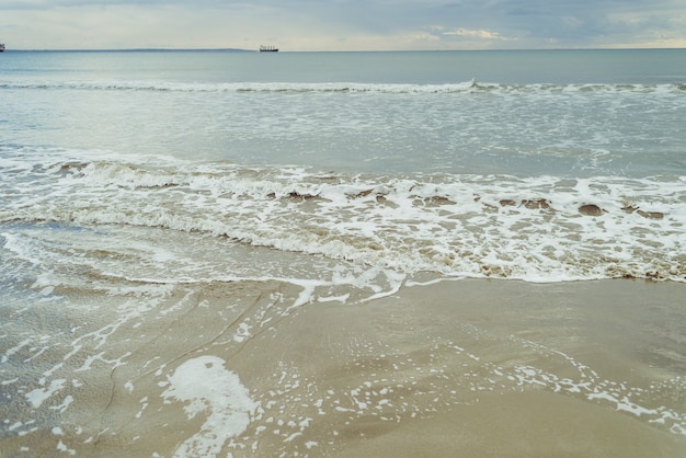 Orilla del mar con olas