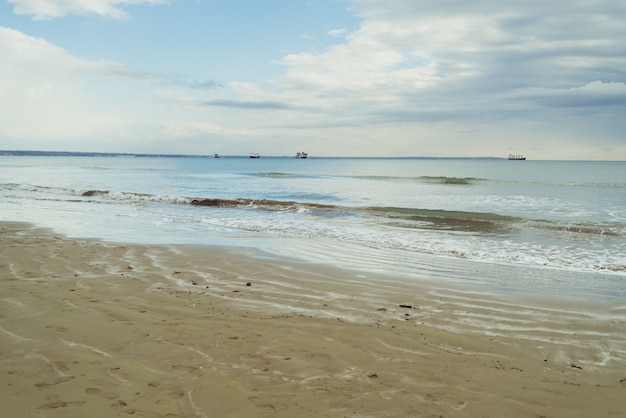 Orilla del mar con olas