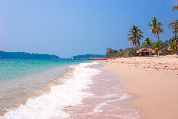 Orilla del mar tropical con palmeras, cielo azul en un día soleado, vacaciones en Asia