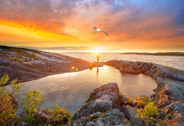 Foto orilla de piedra del lago al atardecer y gaviota en el cielo