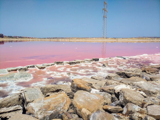 Orilla de piedra del lago de sal rosa