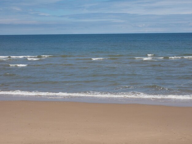 Orilla de la playa del mar