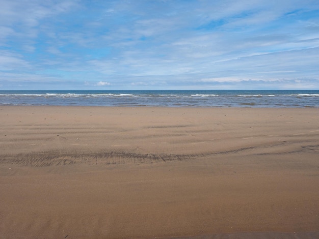 Orilla de la playa del mar