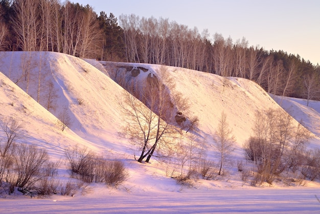 La orilla del río Inya en invierno Un abedul desnudo al pie de una pendiente alta con árboles