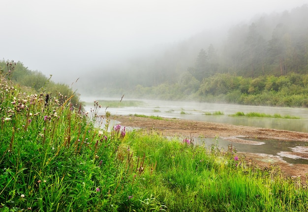 La orilla del río Inya en la niebla de la mañana