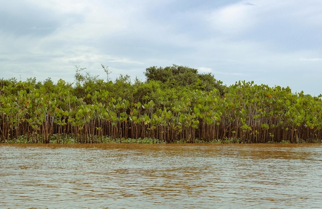 Orilla del río