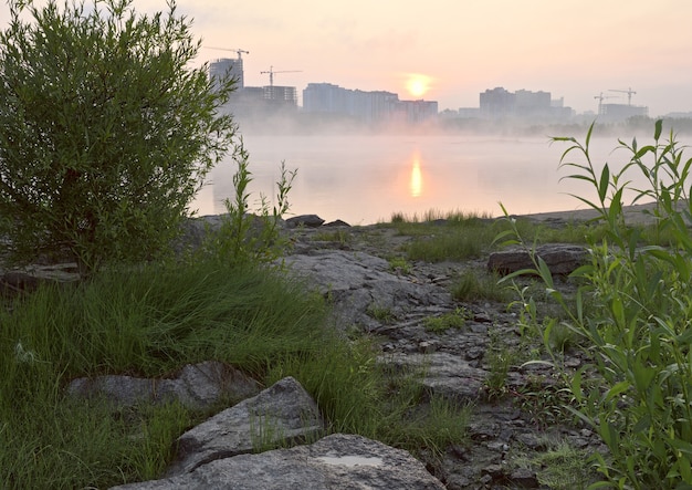 Orilla rocosa al amanecer Ob Hierba verde y arbustos a través de las rocas en la orilla del río