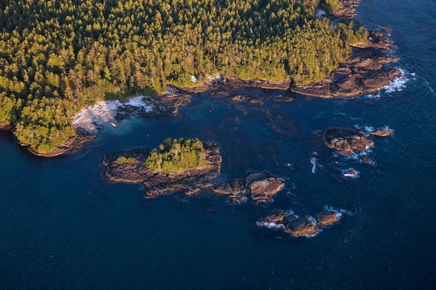 Orilla rocosa en la costa oeste del Pacífico en Tofino