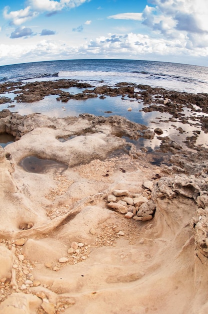 Foto orilla rocosa durante la marea baja. de cerca.