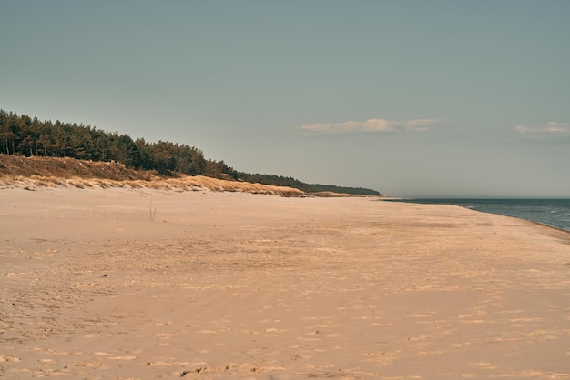 La orilla vacía de la mañana, la playa de arena del Mar Báltico, el concepto de vacaciones.