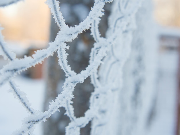 Foto ornamento de cerca de metal congelado coberto de neve, geada