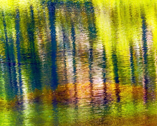 Foto el oro amarillo, los colores del verano, el reflejo del agua, el río wenatchee, leavenworth, washington.