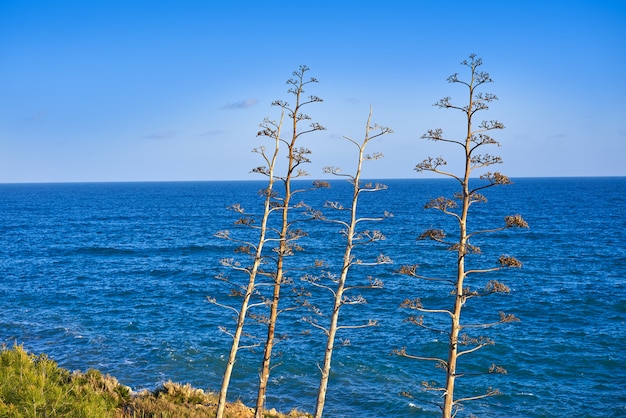 Oropesa de Mar in Castellon Mittelmeer