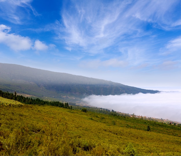 Orotava vale com mar de nuvens na montanha de Tenerife