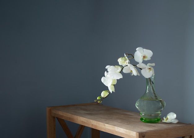 Orquídea branca em vaso de vidro vintage na prateleira de madeira na parede de fundo