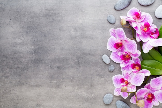 Orquídea e pedras de spa em uma pedra Spa e cenário de bem-estar