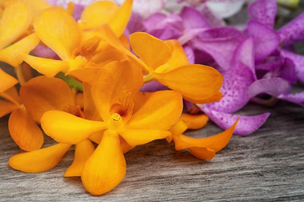 orquídea em fundo de madeira