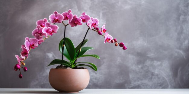 Foto orquídea em um vaso de flores espaço para texto fundo de mármore foto de alta qualidade ia geradora