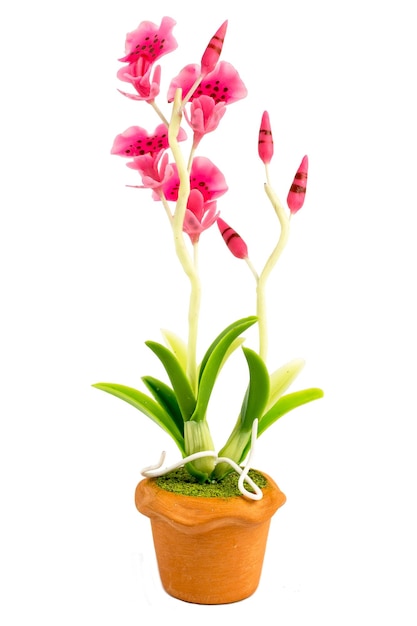 ORQUÍDEA Flor Planta en maceta Casa de muñecas Miniaturas Jardín aislar fondo Trazado de recorte