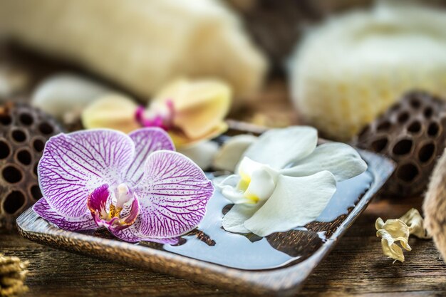 orquídea flotante