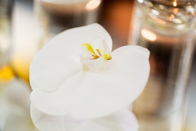 Orquídea en la mesa de la cristalería