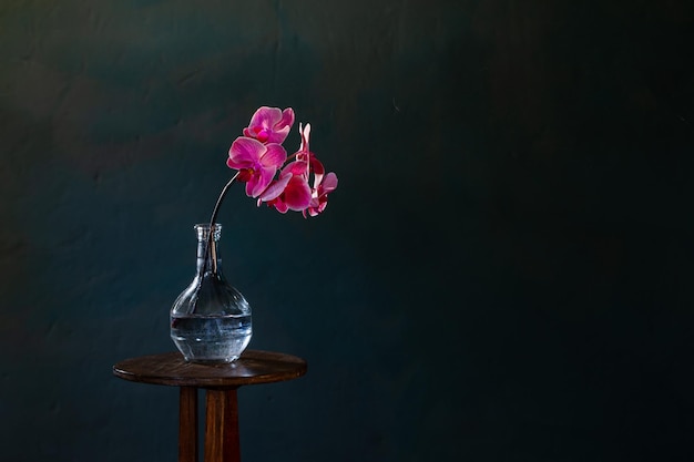 Orquídea rosa en botella de vidrio sobre fondo azul oscuro