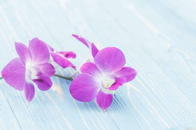 Foto orquídea roxa fresca na prancha de madeira azul. decoração exterior em casa e conceito de jardinagem