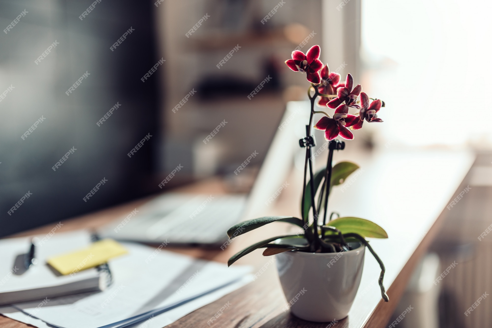 Orquídea vermelha pequena na mesa de escritório | Foto Premium