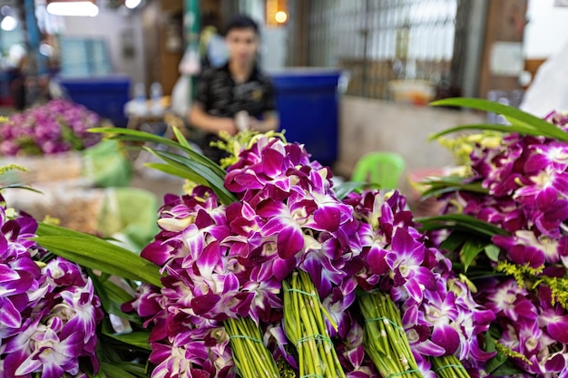 Orquídeas à venda no mercado de flores em Bangkok