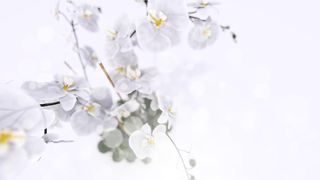 Orquídeas blancas sobre fondo claro borroso 3D rendering 2