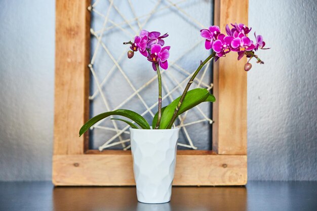 Orquídeas cor de rosa em vaso branco com arte em madeira e barbante