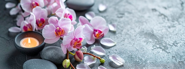 Foto orquídeas e pedras em um fundo cinzento de spa foco seletivo