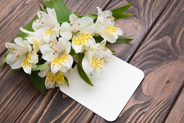 Orquídeas pequenas das flores brancas macias em um fundo de madeira marrom