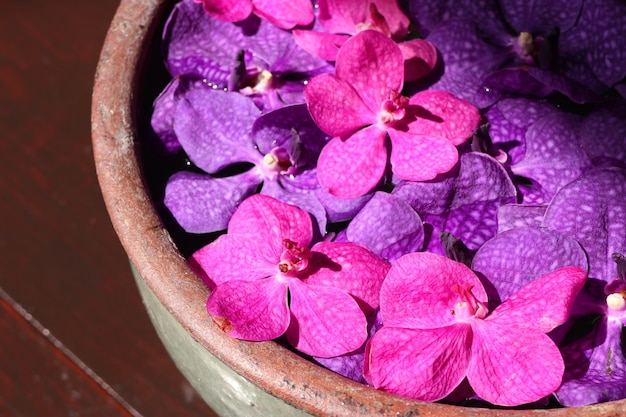 Foto orquídeas vanda flor na água