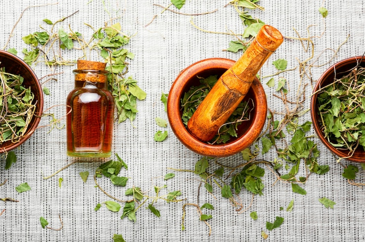 Foto orthilia na fitoterapia. homeopatia e fitoterapia