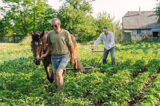 Os agricultores estão arando uma terra