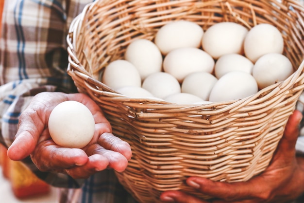 Foto os agricultores guardam muitos ovos de pato em uma cesta para serem comidos como alimento.