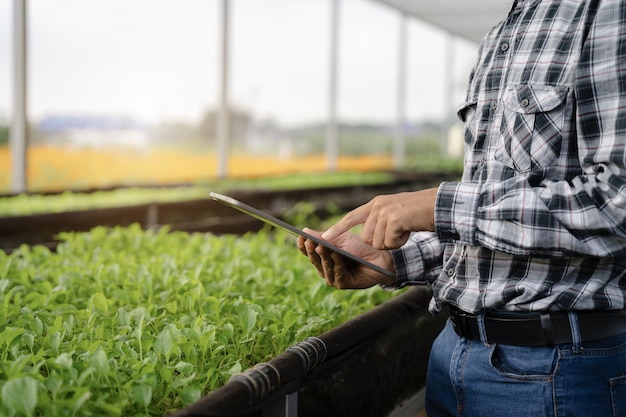 Foto os agricultores usam a principal rede de informações da internet a partir de seus tablets para monitorar, testar e selecionar novos métodos de cultivo para os agricultores