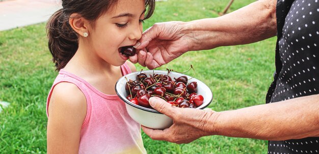 Os avós alimentam a criança com cerejas. foco seletivo. natureza