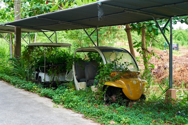 Os carros elétricos abandonados do hotel estão cobertos de vegetação Não é temporada turística