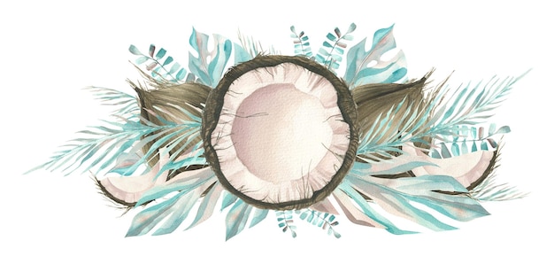 Os cocos são inteiros e abertos com as folhas de palmeiras tropicais Ilustração em aquarela Composição de um grande conjunto de COCO Para decoração e design de logotipo de embalagens de cosméticos alimentares