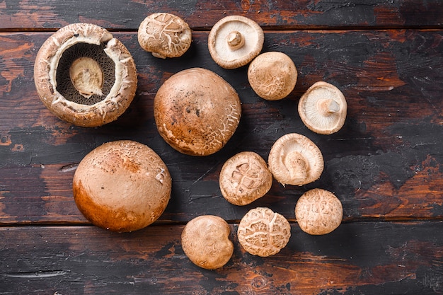 Os cogumelos shiitake e portobello ajustaram-se na tabela de madeira velha, espaço da vista superior para o texto.